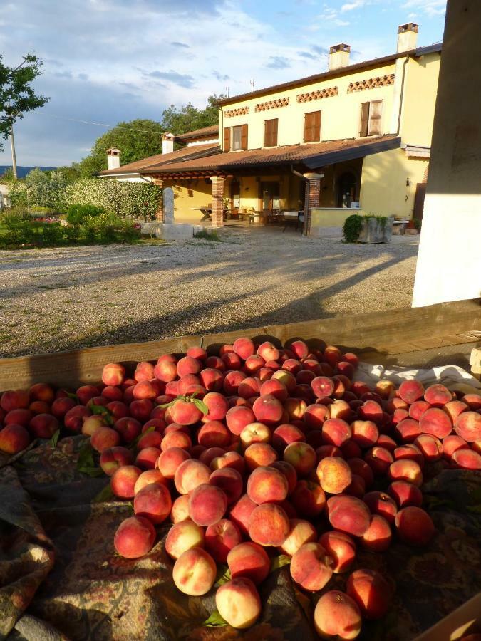 Agriturismo Fior Di Maggio Pescantina Exterior foto